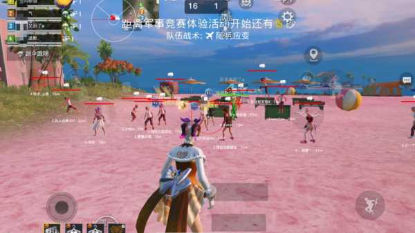 和平精英辅助得类型分为那些